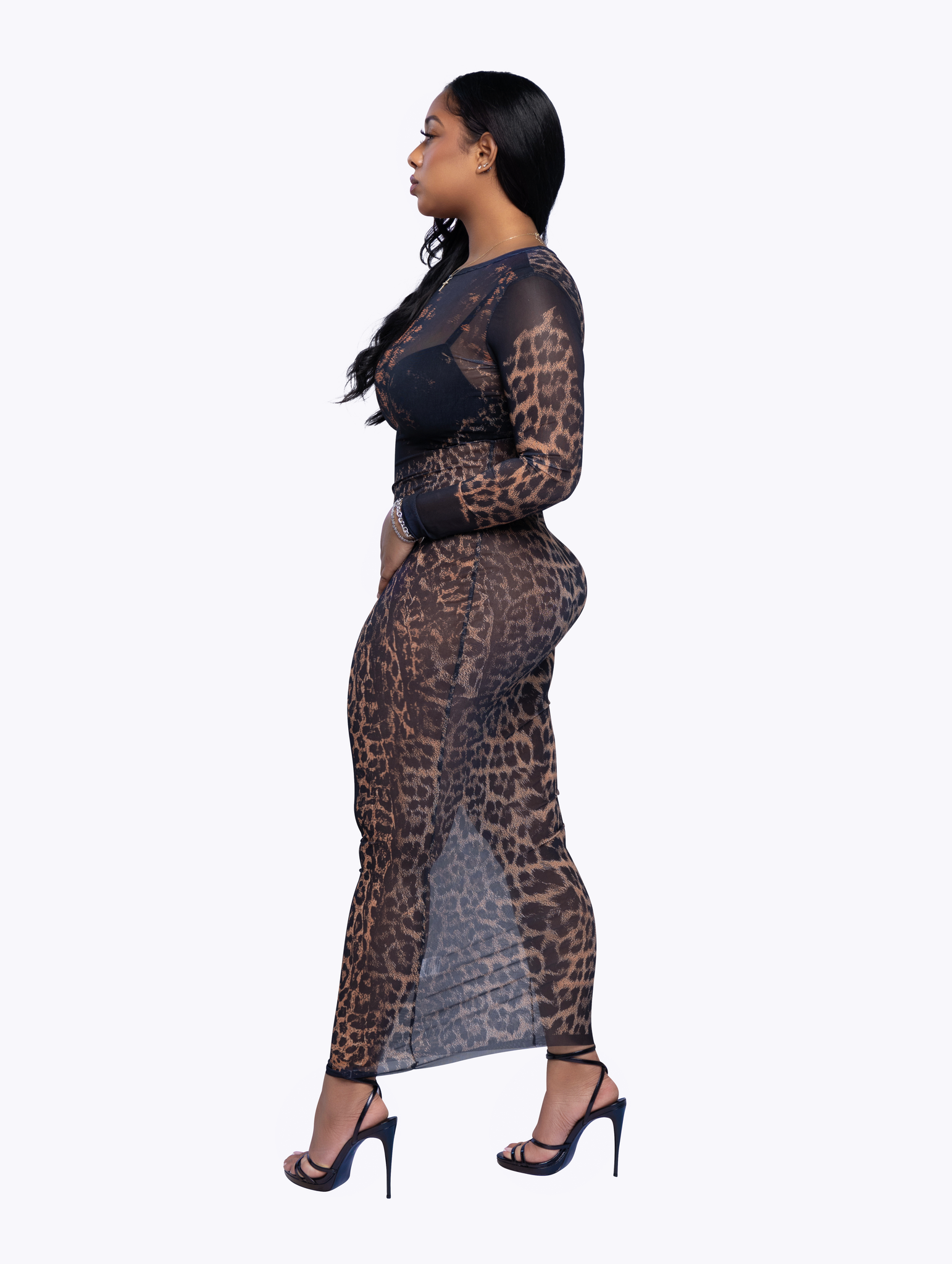 Wild & Sheer See Through Dress Wild & Sheer See Through Dress